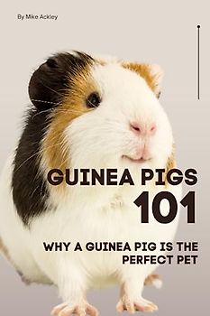 Guinea Pigs 101: Why a Guinea Pig Is the Perfect Pet