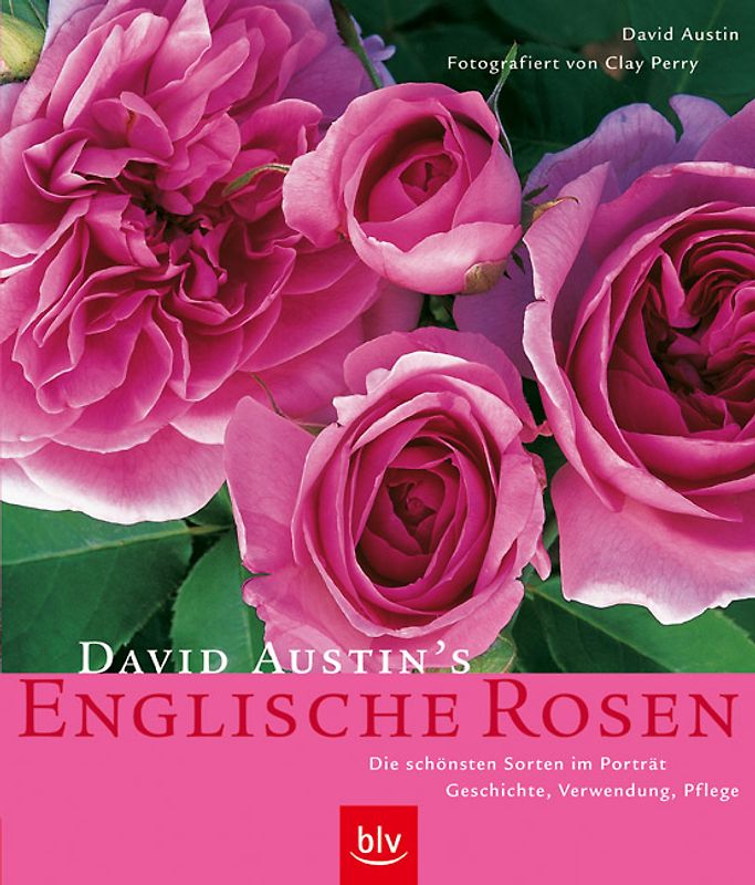David Austin's Englische Rosen