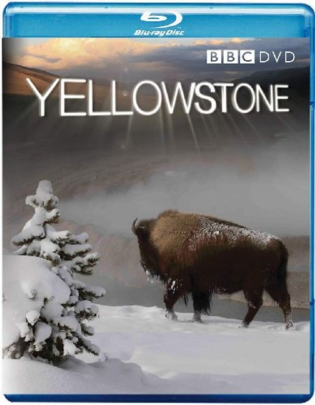 Yellowstone  [UK Import] Blu-ray Disc