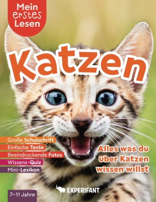 Mein erstes Lesen: Katzen - Alles was du über Katzen wissen willst: Spannendes Wissen für Erstleser - Mit einfachen Texten, großer Schulschrift, ... Lesen: Spannendes Wissen für Erstleser)