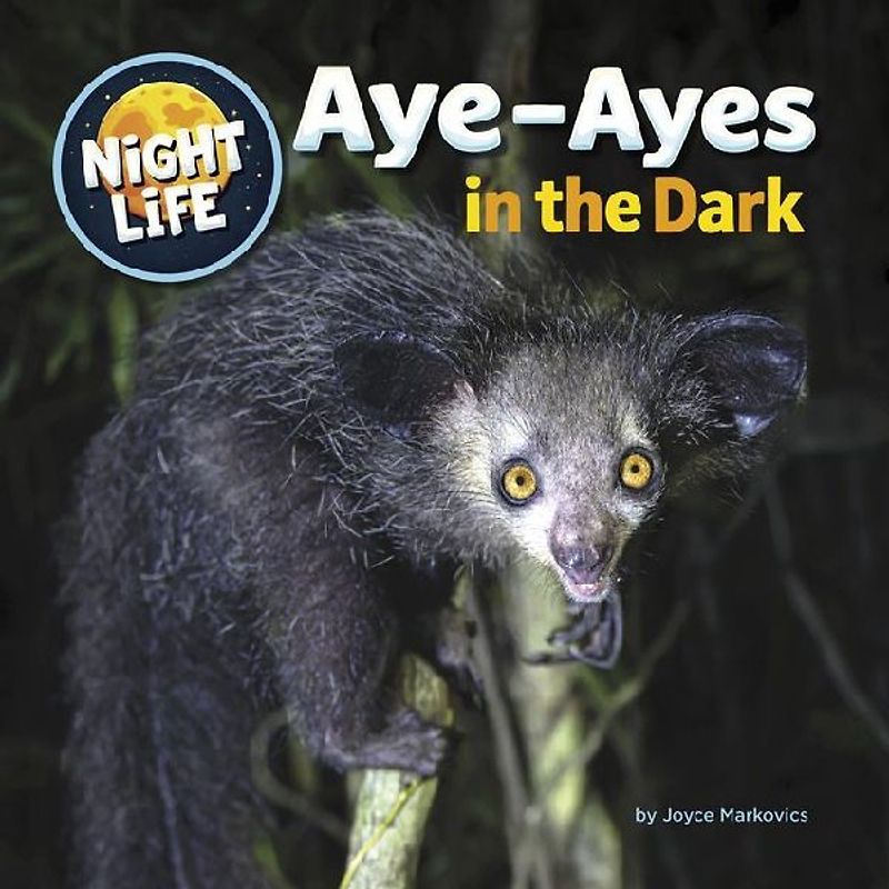 Aye-Ayes in the Dark