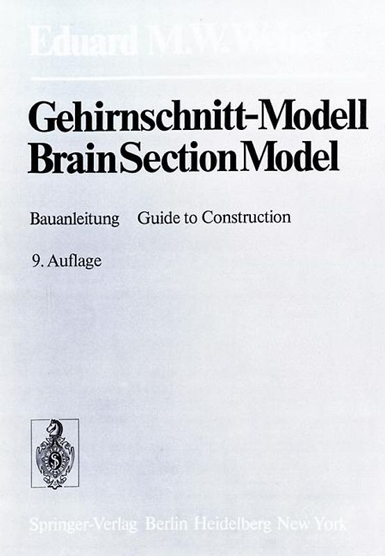 Gehirnschnitt-Modell / Brain Section Model