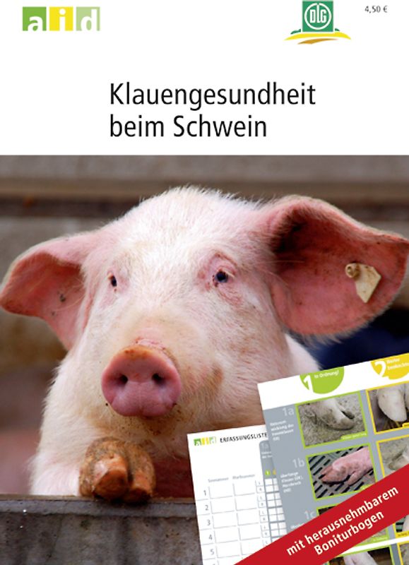 Klauengesundheit beim Schwein