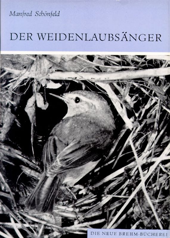 Der Weidenlaubsänger