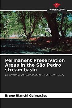 Permanent Preservation Areas in the São Pedro stream basin