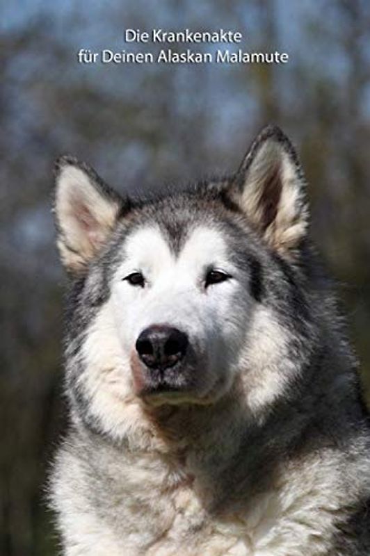 Die Krankenakte für Deinen Alaskan Malamute: Krankheiten / Verletzungen Deines Hundes mit einer sinnvollen Vorlage dokumentieren (Alaskan Malamute - ... Krankenakte und Welpentagebuch, Band 6)
