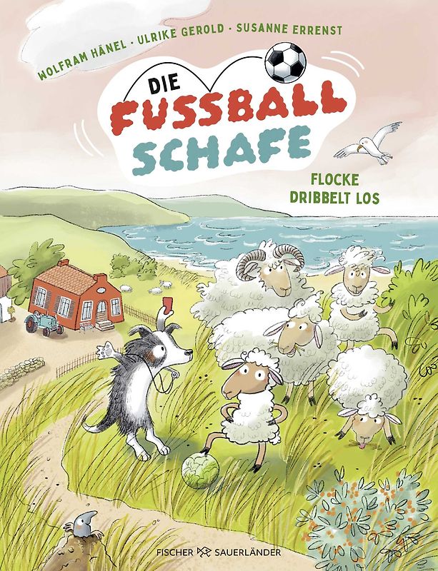 Die Fußballschafe