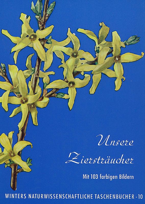 Unsere Ziersträucher