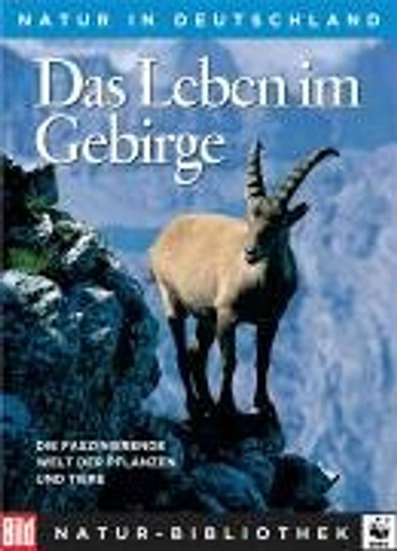 Das Leben im Gebirge