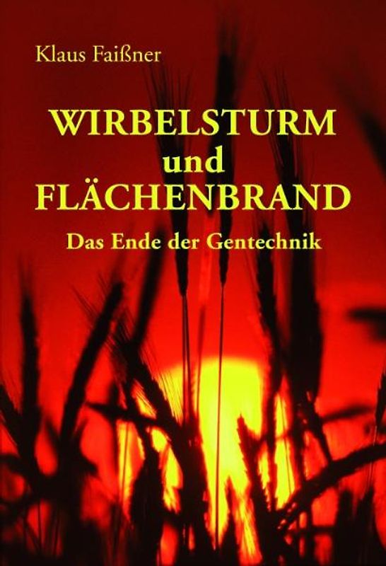 Wirbelsturm und Flächenbrand