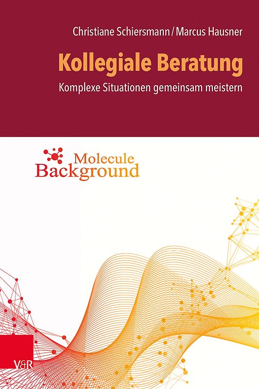 Kollegiale Beratung: komplexe Situationen gemeinsam meistern