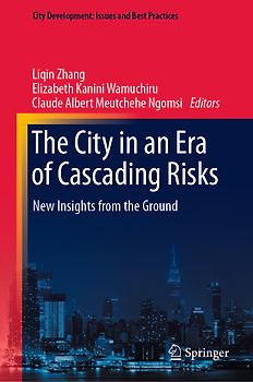The City in an Era of Cascading Risks
