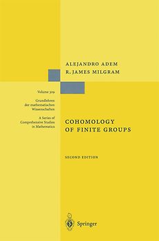 Cohomology of Finite Groups