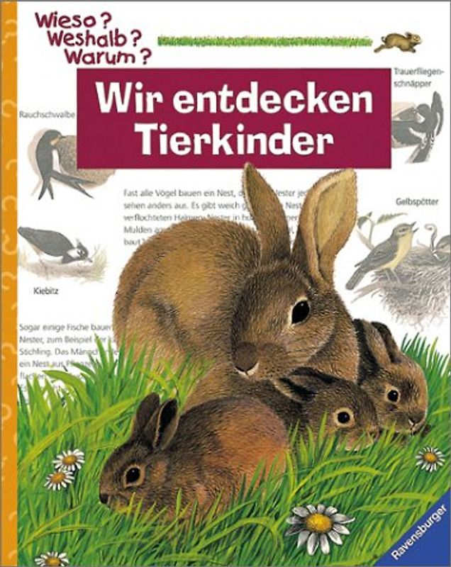 Wir entdecken Tierkinder