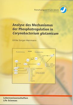 Analyse des Mechanismus der Phosphatregulation in Corynebacterium glutamicum