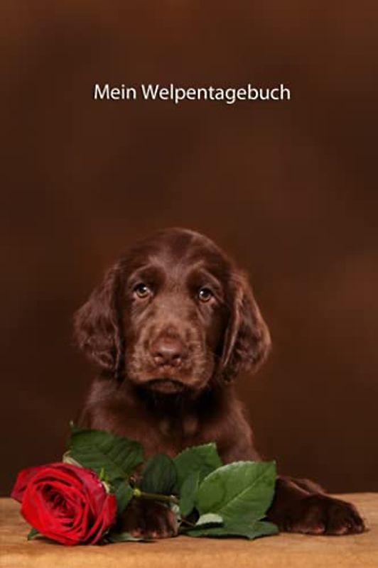 Mein Welpentagebuch: die ersten Monate mit meinem Flat Coated Retriever (Flat Coated Retriever- alle Bücher: Trainingstagebuch, Krankenakte, BARF Planer und Welpentagebuch, Band 8)