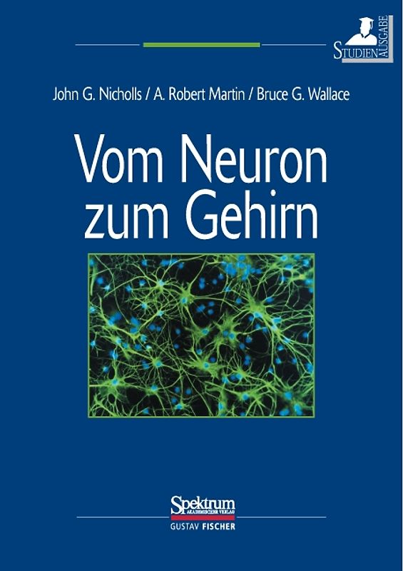 Vom Neuron zum Gehirn (Studienausgabe)
