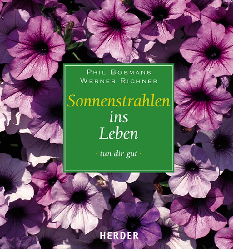 Sonnenstrahlen ins Leben