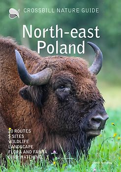 Crossbill Nature Guide North-east Poland
