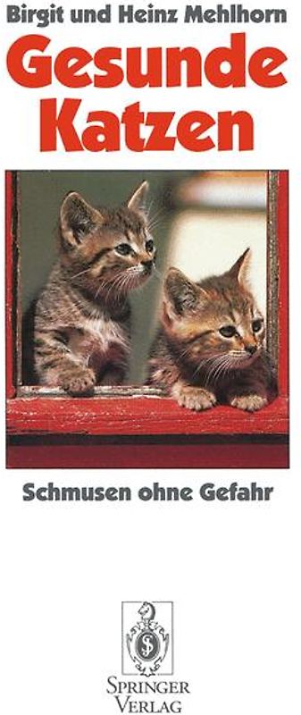 Gesunde Katzen