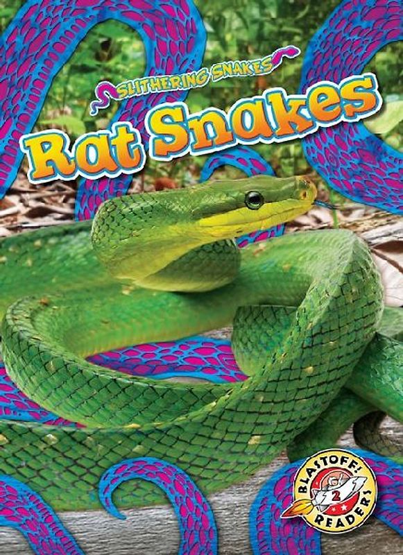 Rat Snakes