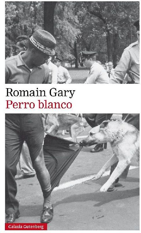 Perro blanco