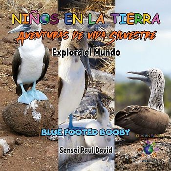 Nin¿os en la Tierra - Aventuras de vida Silvestre - Explora el Mundo Blue Footed Booby - Ecuador