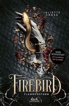 Flammensturm (Band 1) - Firebird
