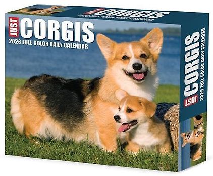 Corgis 2026 5.4 X 6.2 Box Calendar