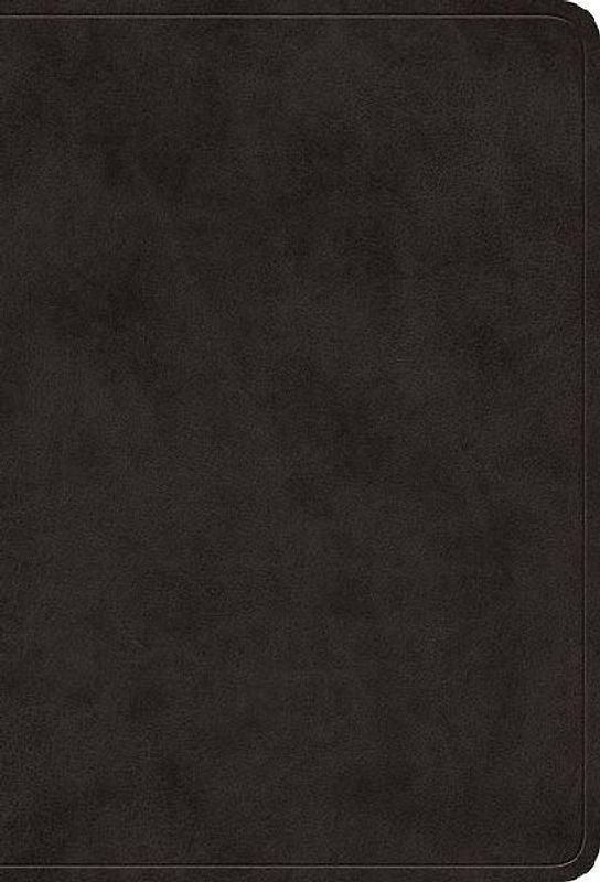 ESV Value Large Print Compact Bible (Trutone, Black)