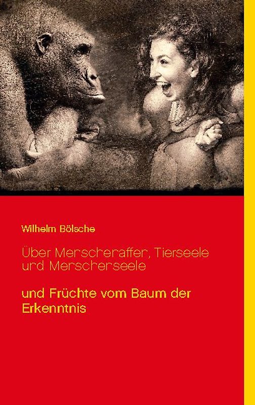 Über Menschenaffen, Tierseele und Menschenseele