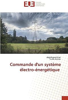 Commande d'un système électro-énergétique