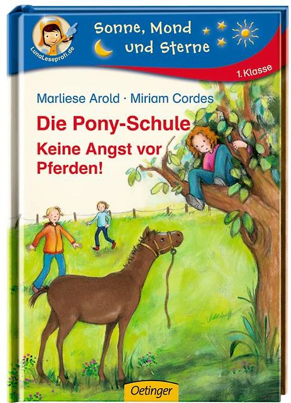 Die Pony-Schule. Keine Angst vor Pferden