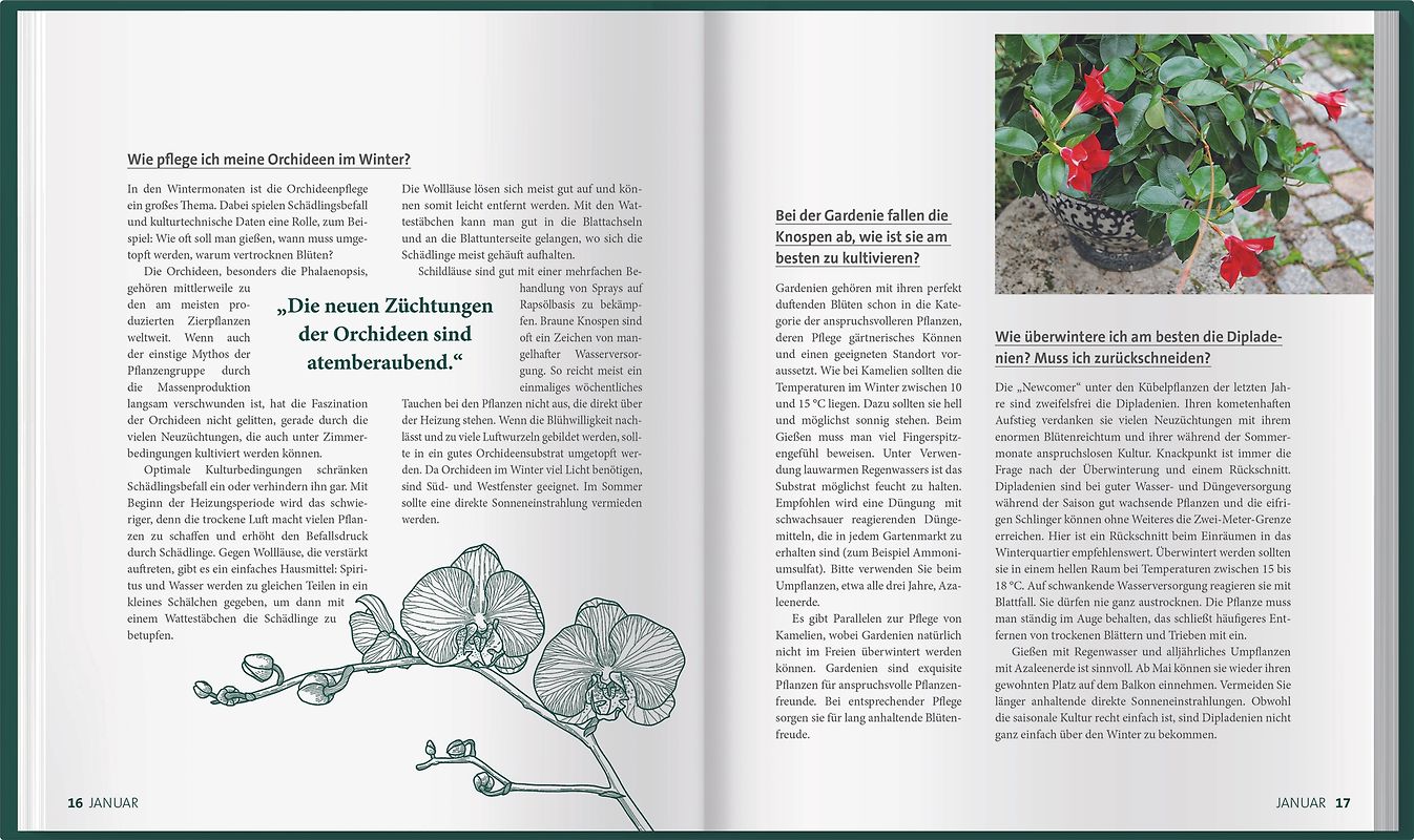 Fritz Busch - Der Dirigent. Aus dem Nachlass