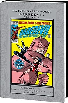 Marvel Masterworks: Daredevil Vol. 16 (Marvel Masterworks, 16)