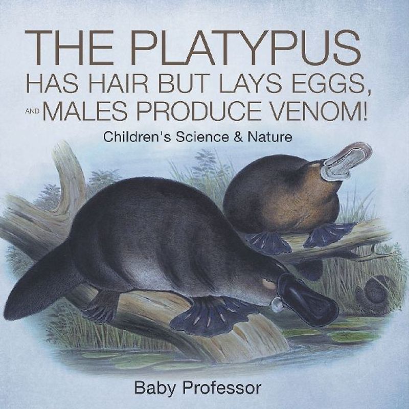 The Platypus Has Hair but Lays Eggs, and Males Produce Venom! | Children's Science & Nature