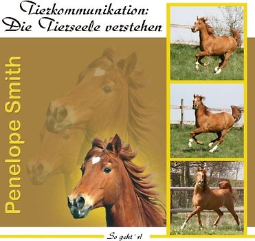 Tierkommunikation: Die Tierseele verstehen
