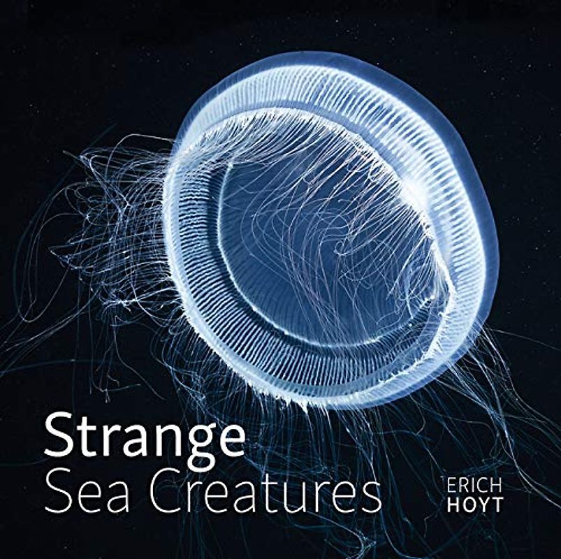 Strange Sea Creatures