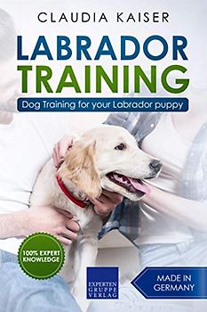Labrador Training: Dog Training for your Labrador puppy