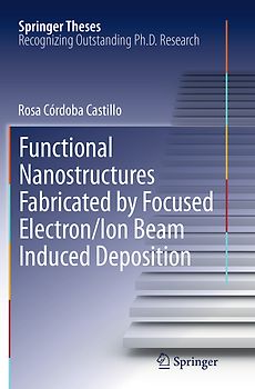 Functional Nanostructures Fabricated by Focused Electron/Ion Beam Induced Deposition