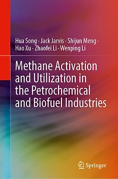 Methane Activation and Utilization in the Petrochemical and Biofuel Industries
