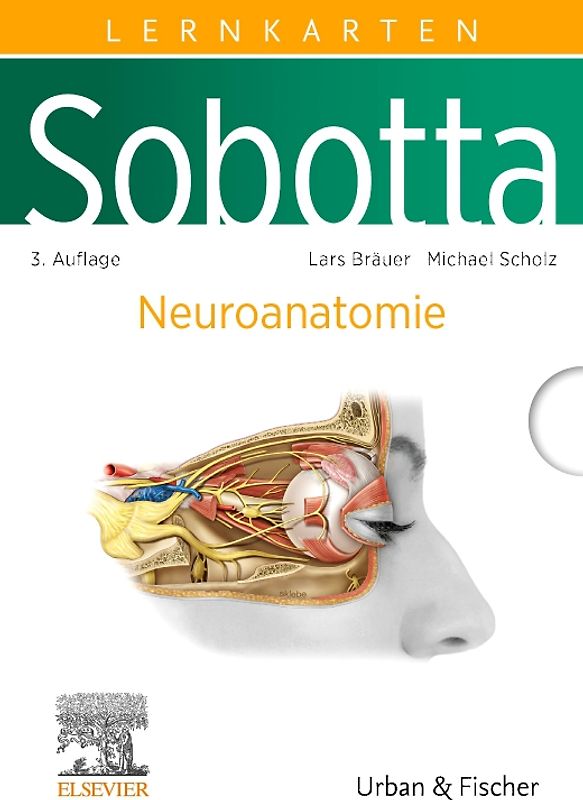 Sobotta Lernkarten Neuroanatomie