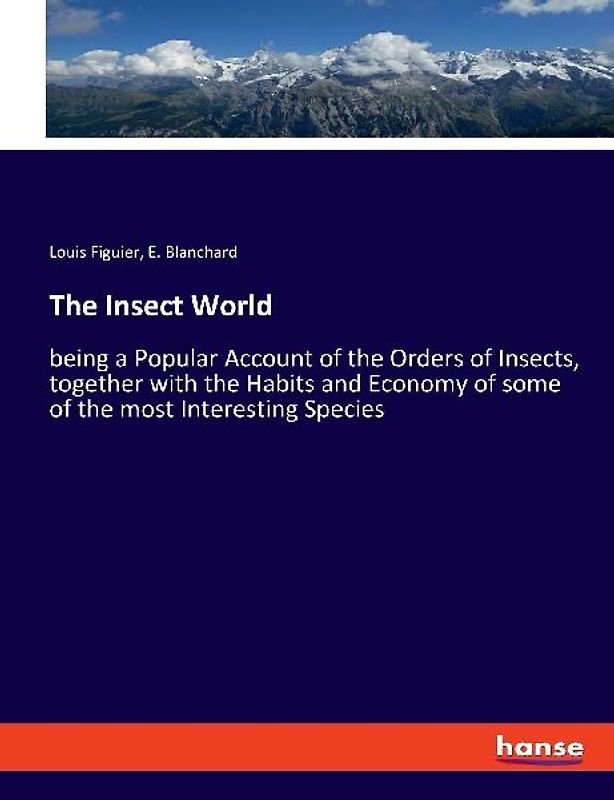 The Insect World