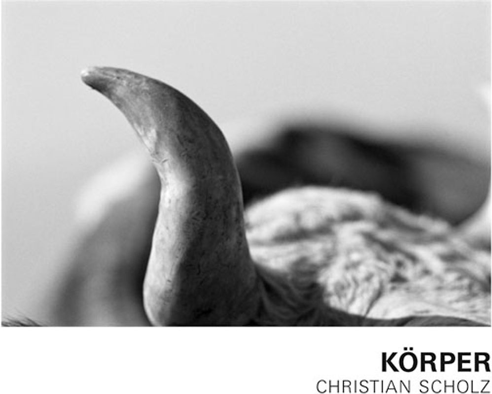 Christian Scholz - Körper