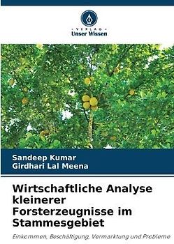 Wirtschaftliche Analyse kleinerer Forsterzeugnisse im Stammesgebiet