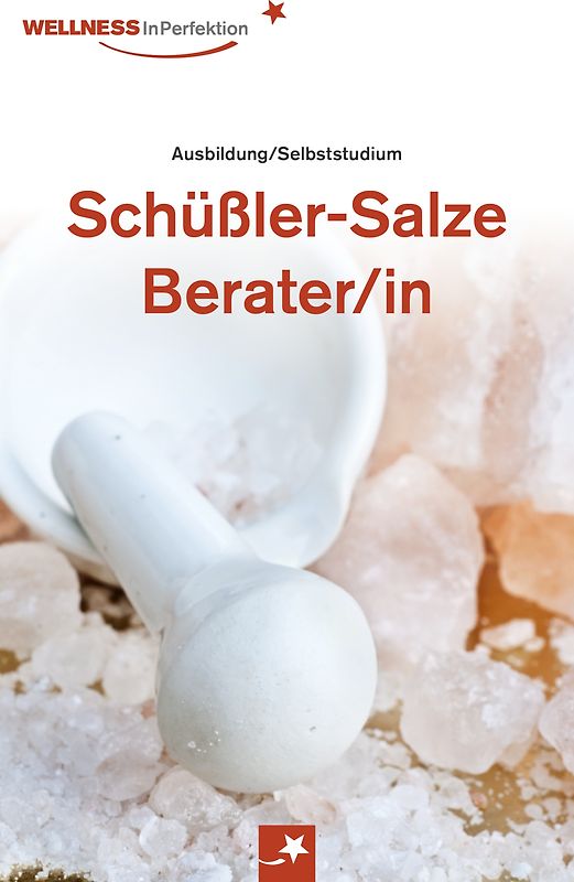 Ratgeber Schüßler-Salze-Berater/in: Professionelles Selbststudium mit vielen Bildern & Tipps