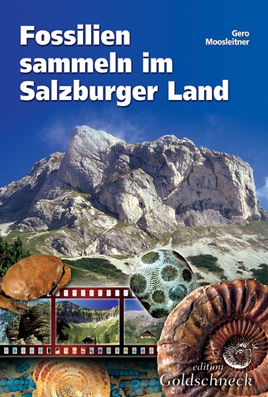 Fossilien sammeln im Salzburger Land