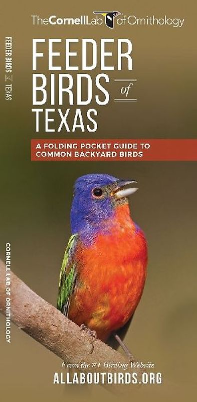 Feeder Birds of Texas