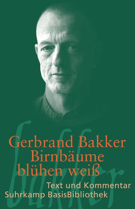 Birnbäume blühen weiß