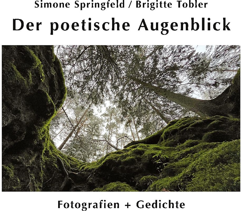 Der poetische Augenblick